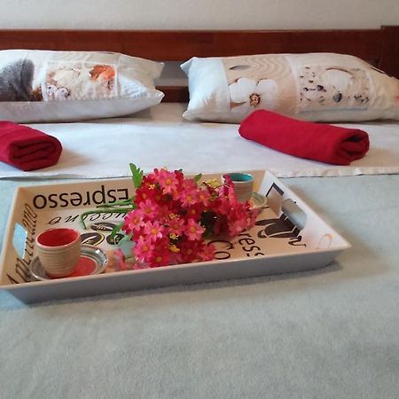 Apartment Vladka Izola Eksteriør billede